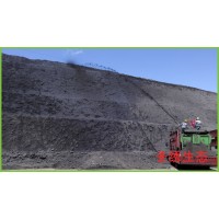 高速公路邊坡綠化 植被修復工程施工河南景繡