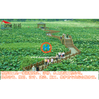 景觀浮橋設(shè)計，安裝，生產(chǎn)，批發(fā)，供應(yīng)