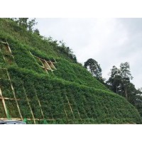 客土噴播植草單價 掛網(wǎng)客土噴播施工方案河南景繡更專業(yè)