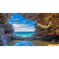 真相曝光！陽光期投不正規(guī)！揭開老師指導(dǎo)虧得原因！