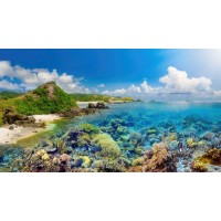 真相曝光！融商環球不正規！親身經歷講述虧損受騙真相！