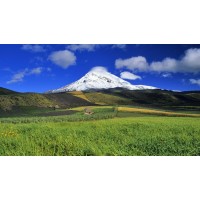 真相！期期盈不正規(guī)！揭開陳玥指導(dǎo)虧損近百萬原因！