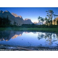 焦點(diǎn),東財(cái)A策略不正規(guī),虧損真相揭露