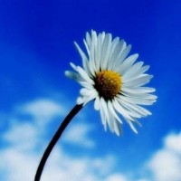 真相揭露！盈點(diǎn)策略不正規(guī)！親身經(jīng)歷講述受騙虧損真相