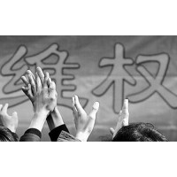 FORD平臺頻繁虧損正常？跟單倫敦金、A50爆倉這是個圈套？