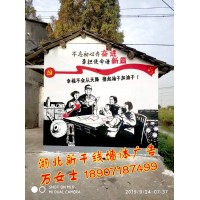 黃石鄉村文化墻彩繪、黃石3D畫立體地面彩繪、黃石店招墻體公司