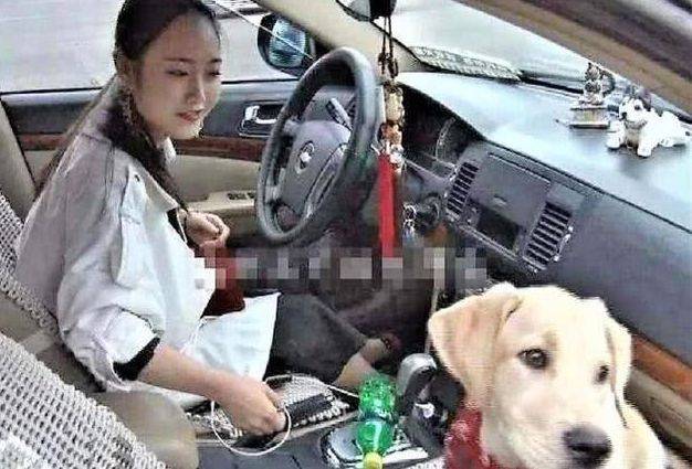 女司機注意了！往后副駕駛放這個，交警查到扣3分罰款200元