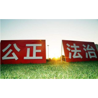 曝光chifley不正規！受害者親身經歷揭秘虧損真相!