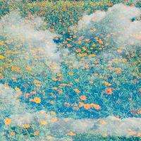 伯特國際正規嗎？虧損慘重內幕大曝光！本人親身經歷揭露騙局！