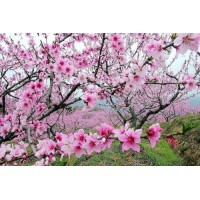 真相揭露融盛策略不正規(guī)內(nèi)幕！揭露騙局真相本人親身經(jīng)歷告誡