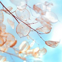 真相揭露融創(chuàng)睿楹策略不正規(guī)內(nèi)幕！揭露騙局真相本人親身經(jīng)歷告誡