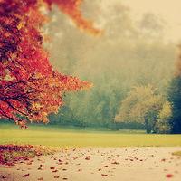 真相揭露精勝策略正規靠譜嗎？騙局揭秘坑我幾十萬!難友速來