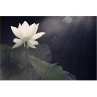 易路商城被騙爆倉黑幕大曝光,虧損真相揭秘受害者要小心！