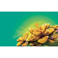 新聞包頭稀土虧損被騙平臺不正規，張劍龍頻繁喊單耗盡本金！