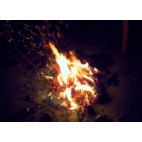 GMI外匯平臺投資NET被騙？賬號被凍結已解決！