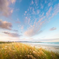 曝光大亨財富學院不正規(guī)！揭露掌風帶單坑我?guī)资f真相