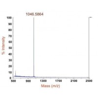 蛋白分子量測(cè)定