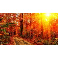 包頭稀土交易所黑幕揭秘！虧損已成功挽回