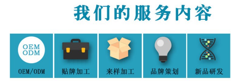 我們的服務內容