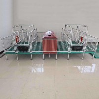 雙位母豬產床分娩一體母豬產床