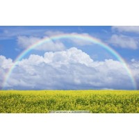 真相揭秘多陽網不正規!曝光被騙幾十萬真相!本人親身訴說