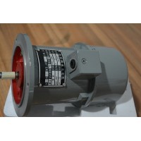 ZYS-6A 步尊永磁式直流測速發(fā)電機(jī)