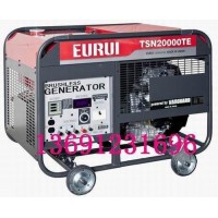 原裝日本進口汽油發電機TSN20000TE