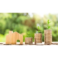 上海黃金交易所真實(shí)經(jīng)歷,帶你走出驚天pian局！