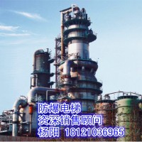 供應(yīng)山東省青島市防爆電梯、煤氣柜電梯