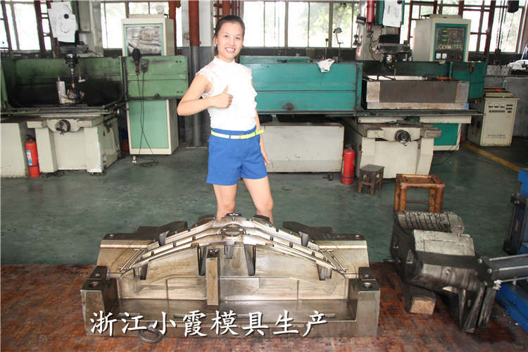 汽車(chē)模具 (111)