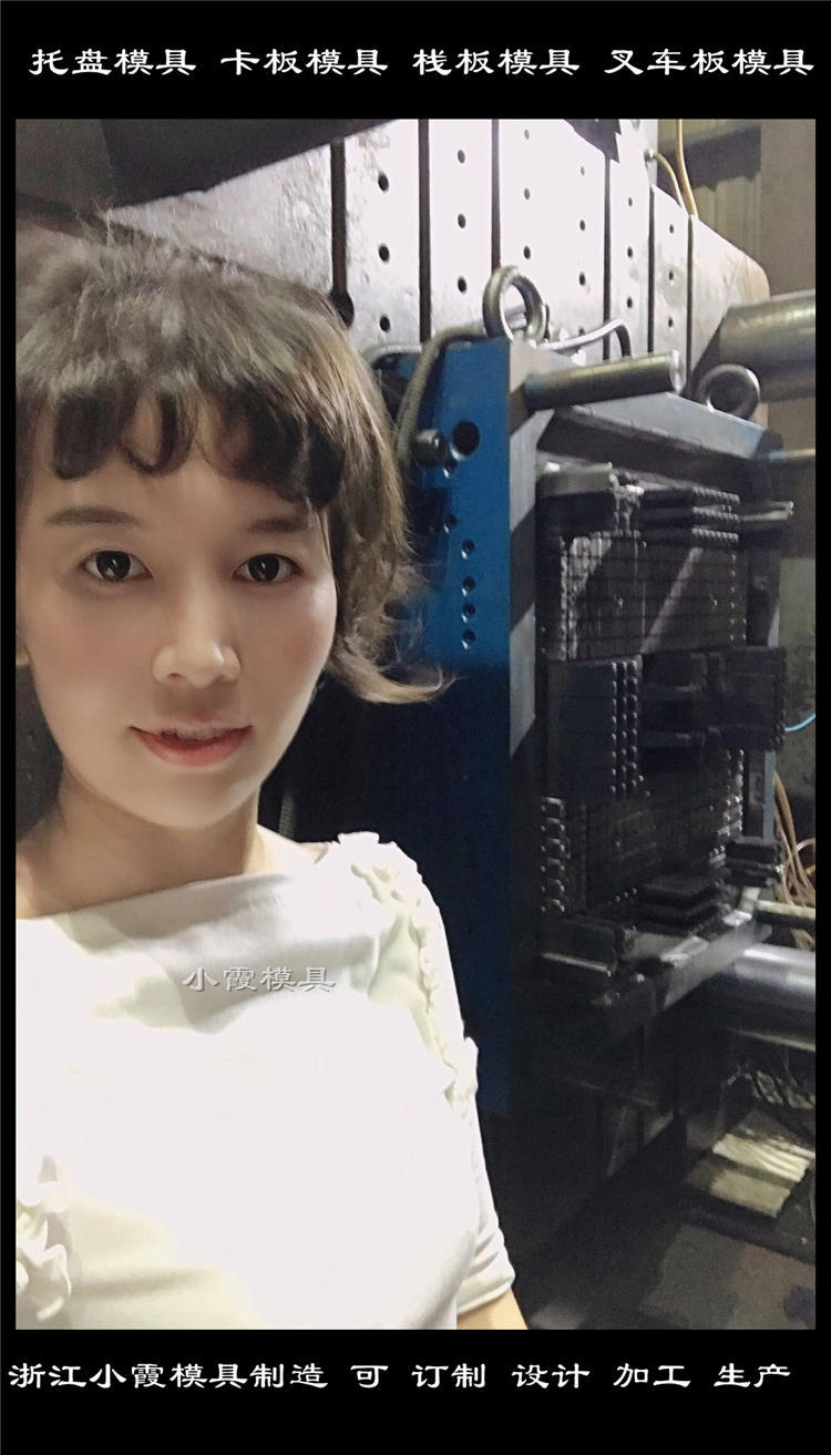 塑料托盤(pán)模具 (44)