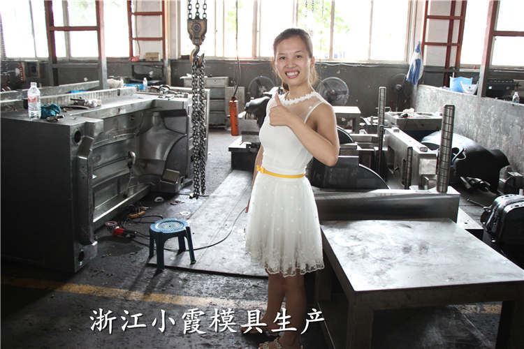 汽車(chē)模具 (80)