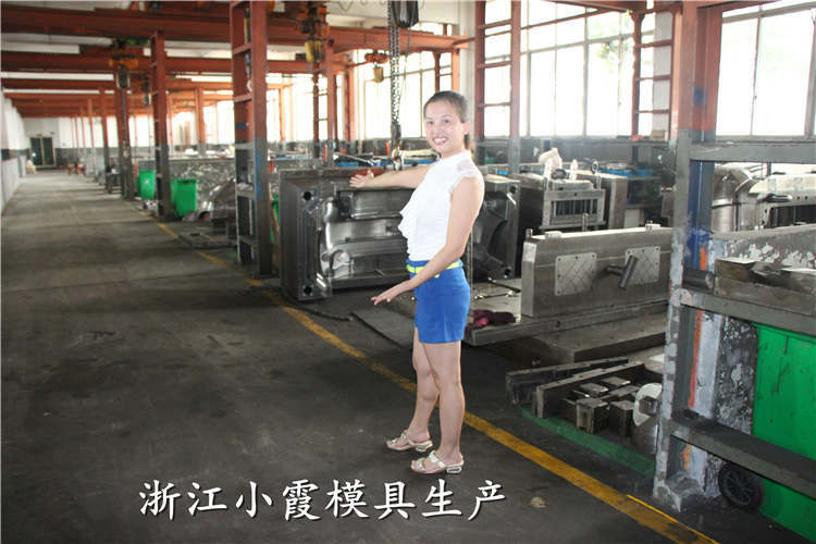 汽車(chē)模具 (169)