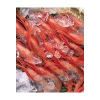 微波對蝦烘干設(shè)備