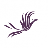 進口66號全精煉石蠟