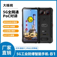 大核桃三防智能手機 石油化工礦井對講巡檢5G全網(wǎng)通防爆手機