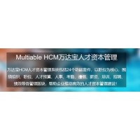 HCM人才管理系統_HCM人才管理軟件