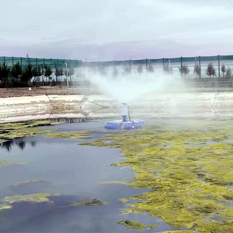 漂浮式蒸發(fā)器0.4 (2)