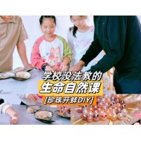 蘇州三六六社會實(shí)踐戶外拓展探索自然生命蚌殼中的奧秘體驗(yàn)活動