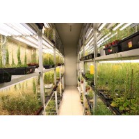 培養(yǎng)架光源氣候室