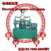 大流量電動試壓泵
